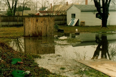 Yard Drainage in Williamsville, NY